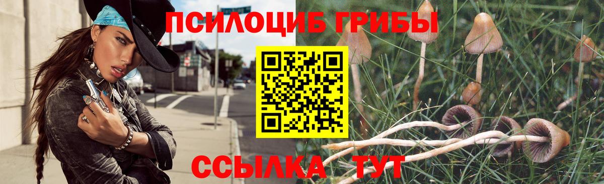 Псилоцибиновые грибы Magic Shrooms Псков