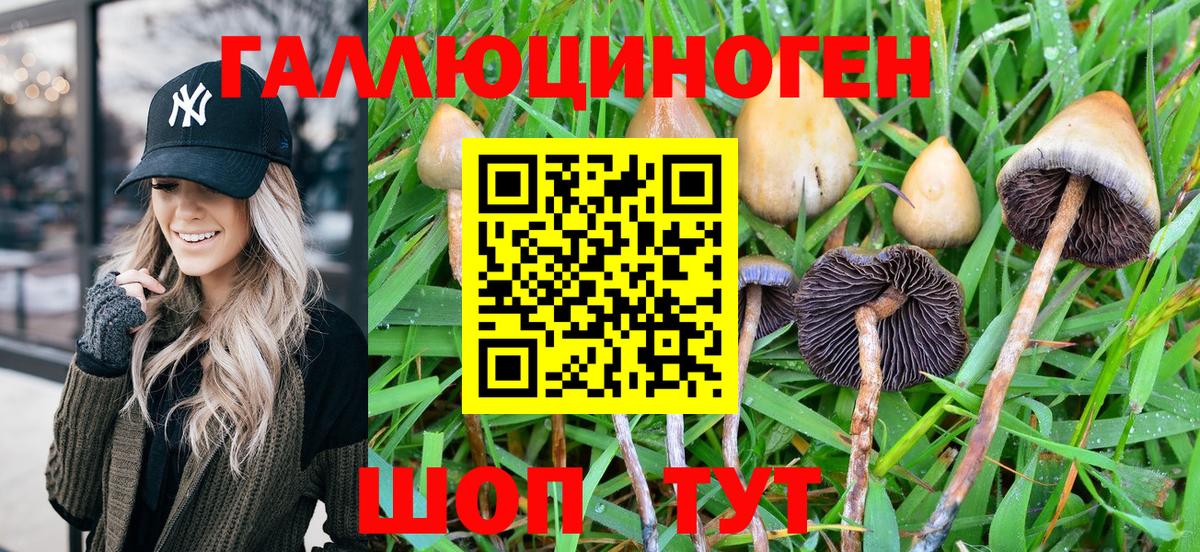 Бошки Шишки  Вход с VPN  КОКАИН  NBOMe  Меф МЯУ МЯУ   Кодеин  Псков  Гашиш  Альфа ПВП СОЛЬ кристаллы  Лсд 25  Экстази  Вейп ТГК 
